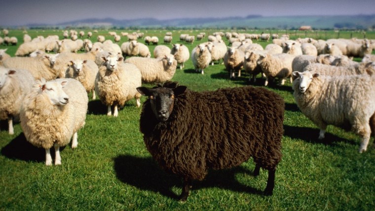 2018 - ideas - horizontal.jpg