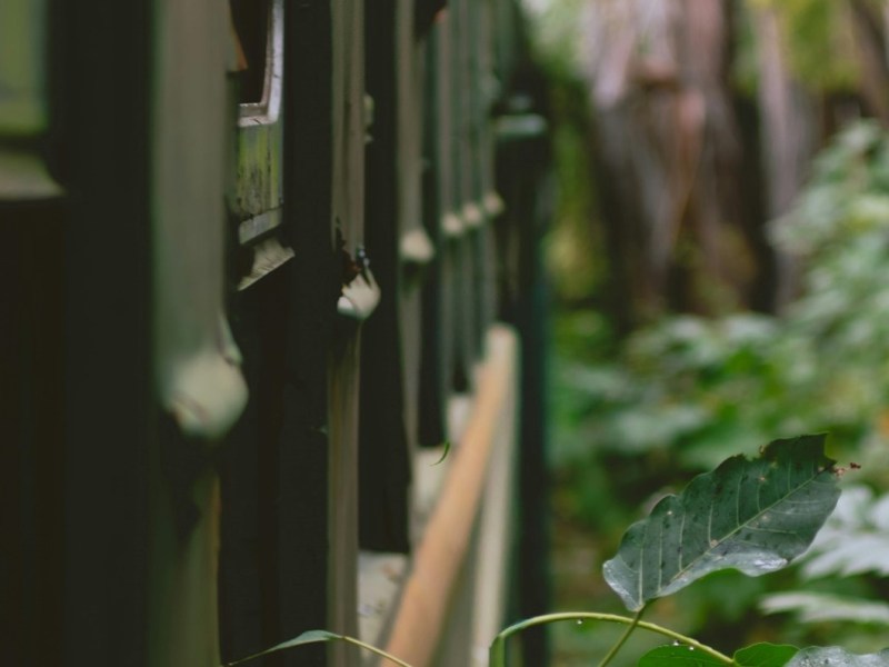 La psicoterapia como arte del&nbsp;umbral